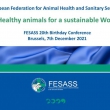FESASS conference